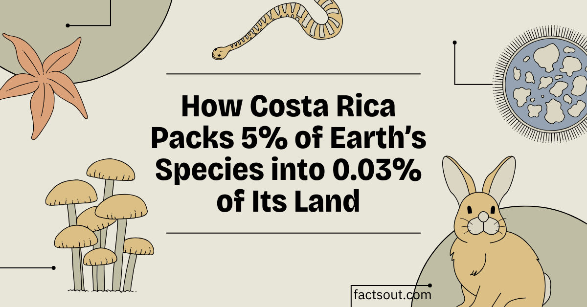 Biological Corridors and Microclimates: How Costa Rica Packs 5% of Earth’s Species into 0.03% of Its Land