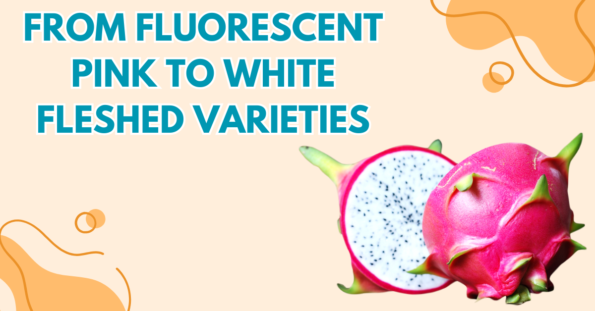 From Fluorescent Pink to White-Fleshed Varieties: Dragon Fruit’s Colorful Identity Crisis