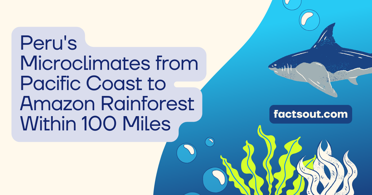 Vertical Ecology: Peru’s Microclimates from Pacific Coast to Amazon Rainforest Within 100 Miles