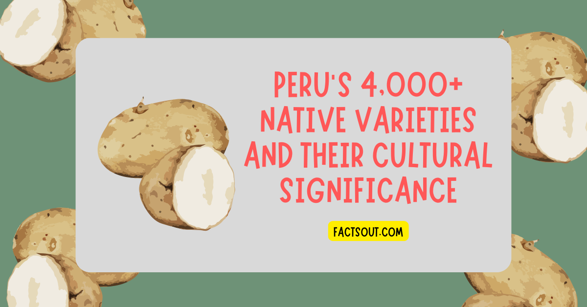 Potato Biodiversity Guardians: Peru’s 4,000+ Native Varieties and Their Cultural Significance